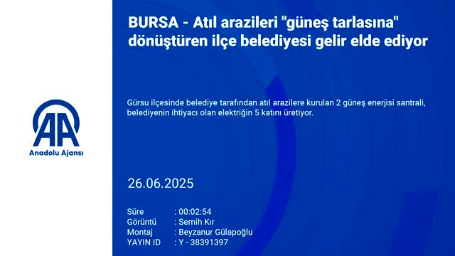 Bursa'da aylık 500 bin TL getirisi var! Bu tarla diğerlerinden çok başka...