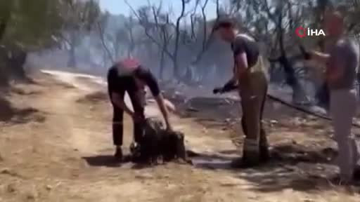 Bursa'daki yangından sağ kurtulan can dostlar kamerada!