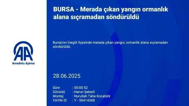Önüne geçilemiyor! Bursa'da bir yangın daha