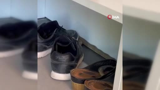 Ayakkabılıktan çıktı, yürekleri hoplattı!