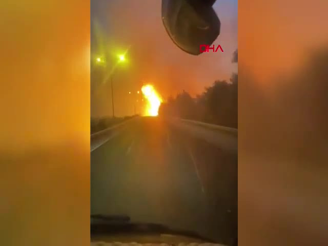 Alevlerin arasına daldı! Yürek yakan görüntüler...