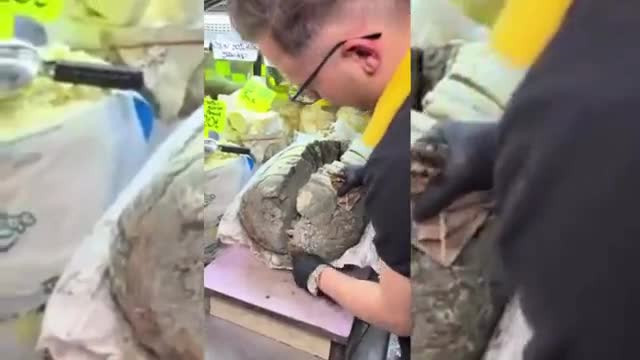 Türkiye'de satılıyor! Görüntü izleyenleri ikiye böldü: Bunu nasıl yiyorlar?