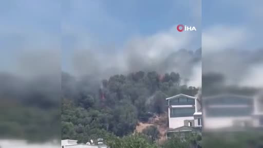 Bursa'da bir yangın daha çıktı! Yerleşim yerinin çok yakınında...