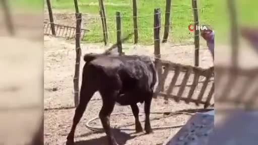 Bursa'da akılalmaz anlar! Başını belaya değil, merdivene soktu!