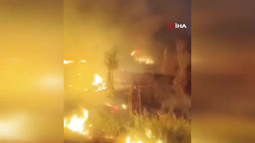 Bursa'da ormanlık alanda yangın!