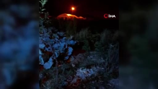 Bayburtlu vatandaşın ürkek tilkiyle imtihanı: Uzun uğraşlar sonunda...