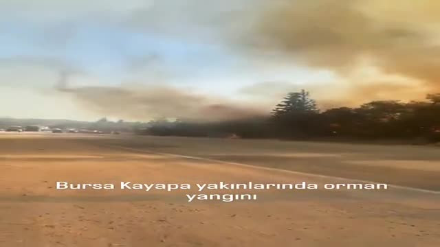 Bursa'da büyük yangın! Dumanlar her yeri kapladı
