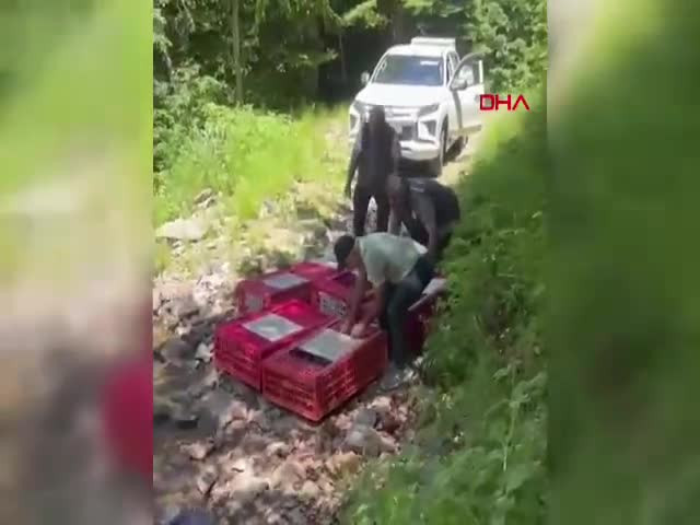 Bursa'da kabus devam ediyor! Mücadele için doğaya yeni kahramanlar salındı