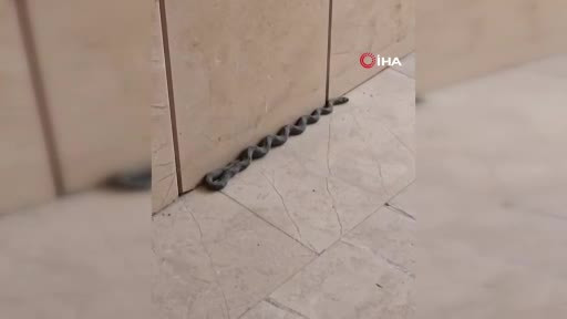 Buzdolabı motoruna giren yılanı itfaiye çıkardı