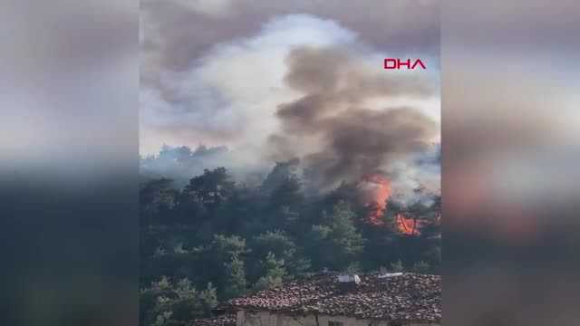 Bursa Büyükşehir'den yangınla ilgili açıklama!