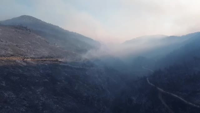 Bursa'da o mahalle yangından tahliye edilmişti! Peki son durum ne? 