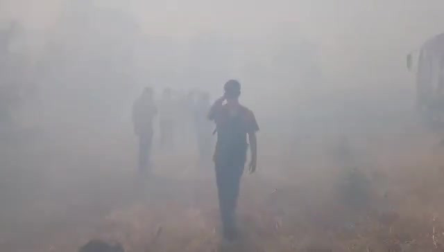 Bursa'da yangın yine alevlendi: Anında müdahale edildi!