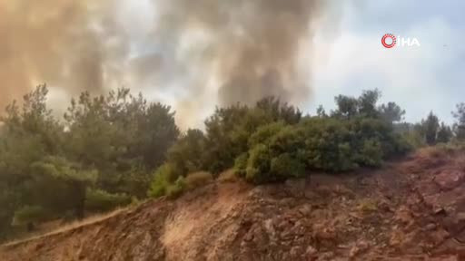 Evine kadar ulaşan yangını gözyaşlarıyla anlattı