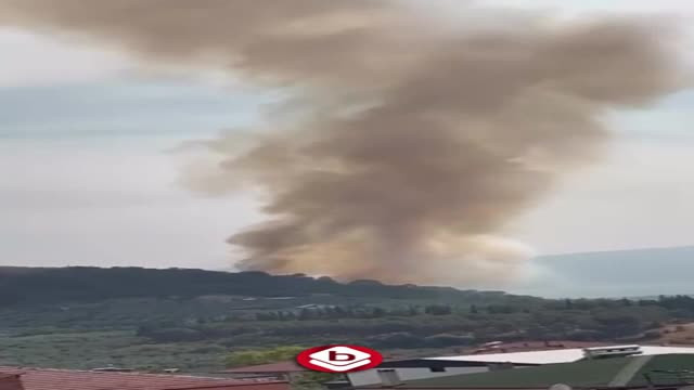 Bursa'da bir yangın daha! Havadan ve karadan müdahale sürüyor...