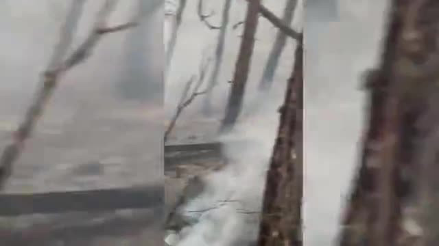 Bursa yanıyor! Ormanlar kül oldu: İçler acısı görüntü...