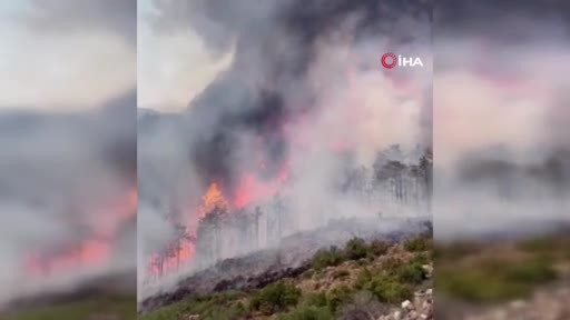 Bursa yine alevlere teslim! Yangın başka alana sıçradı...