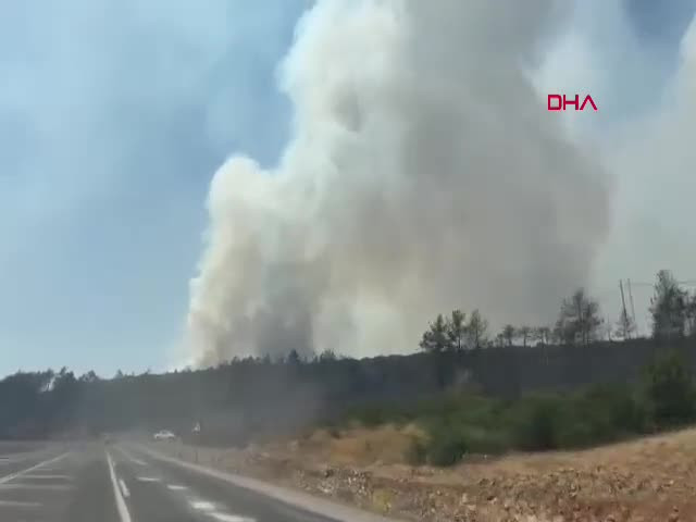 Bursa yine alevlere teslim! Yangın başka alana sıçradı...