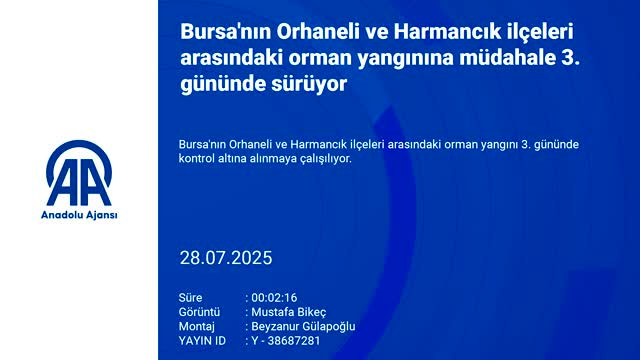 Bursa yine alevlere teslim! Yangın başka alana sıçradı...