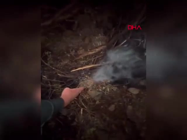 Bursa'da ormanları yakan kundakçının peşine düştüler! Koşarak kaçtı...