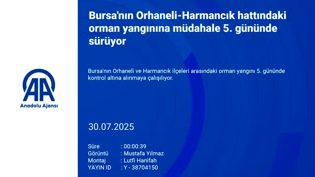 Bursa'daki yangın beşinci gününde!