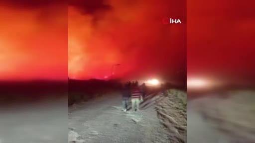 Hatay'da orman yangını