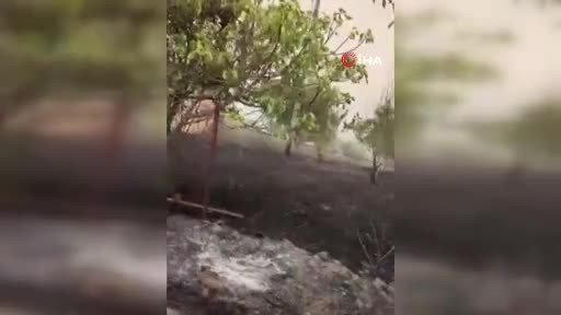 Bursa'da yangın büyüyor! Büyükşehir'den açıklama