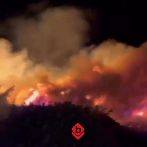 Bursa'da peş peşe yangınlar! Bu sefer İznik'i dumanlar kapladı...