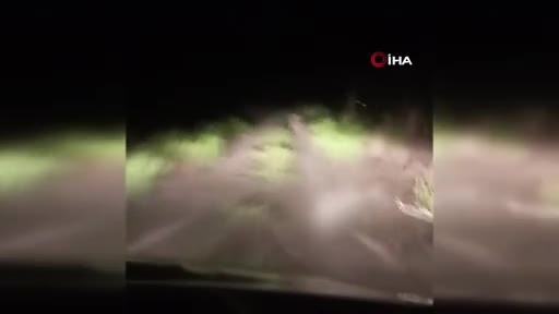 Vatandaşlar köye inen vatandaşlar ayıyı böyle kovaladı