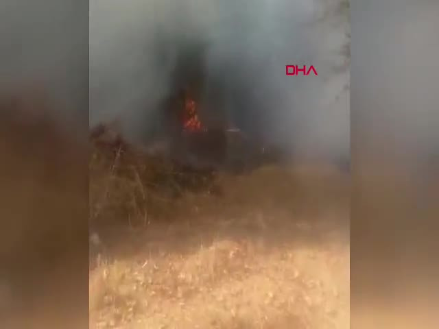 Bursa'da ağaçlık alan alev alev yandı!