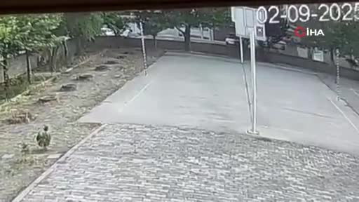 Okul müdüründen hayat kurtaran müdahale