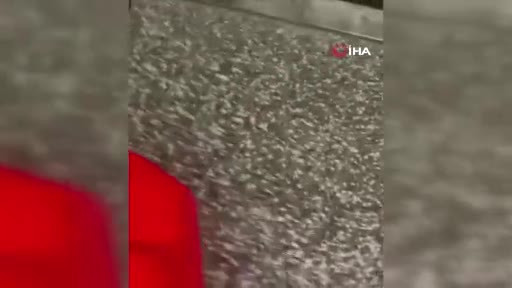 Bursa'da mağazayı kundaklamıştı: Flaş gelişme!