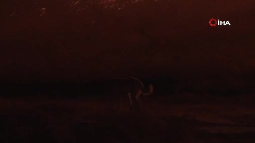 Bursa'daki yangında korkutan gelişme! Tahliyeler başladı...