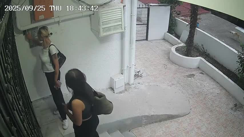 Sanatçı Güllü'nün şüpheli ölümünde "cilalı parke" detayı!