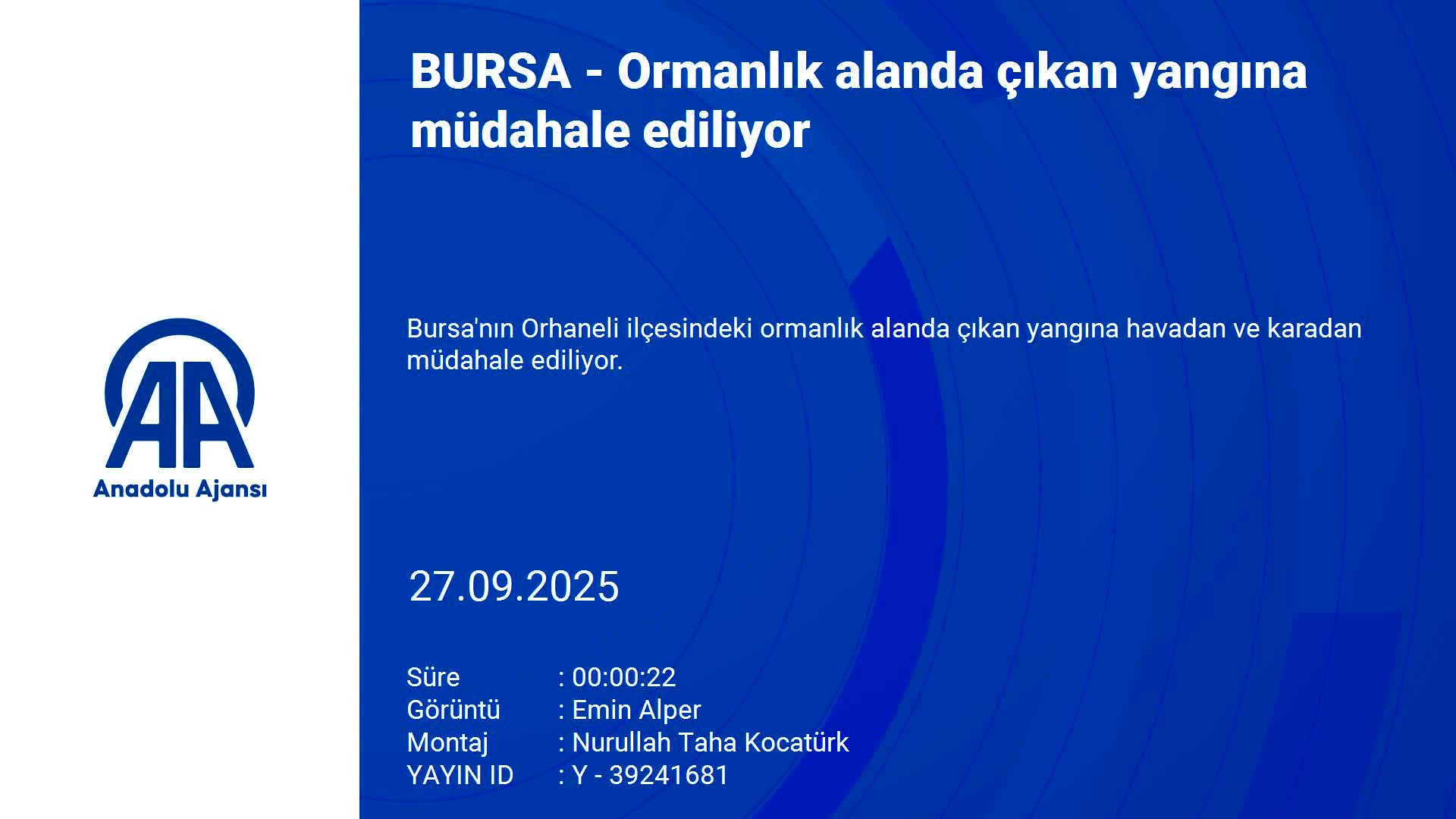 Bursa'da bir yangın daha! Müdahale başladı