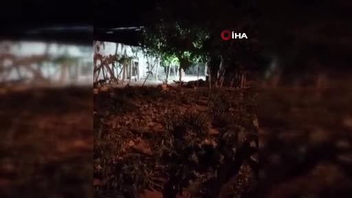 Aile faciası! Anne ve babasını bıçakla katletti