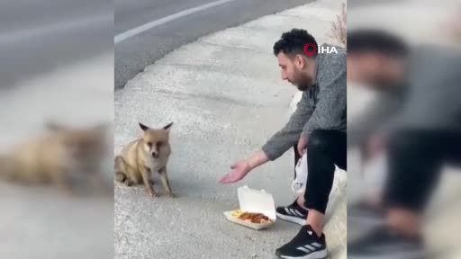Uludağ yolunda sıra dışı karşılaşma!