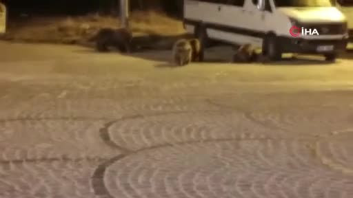 Bursa'da sıra dışı gece!