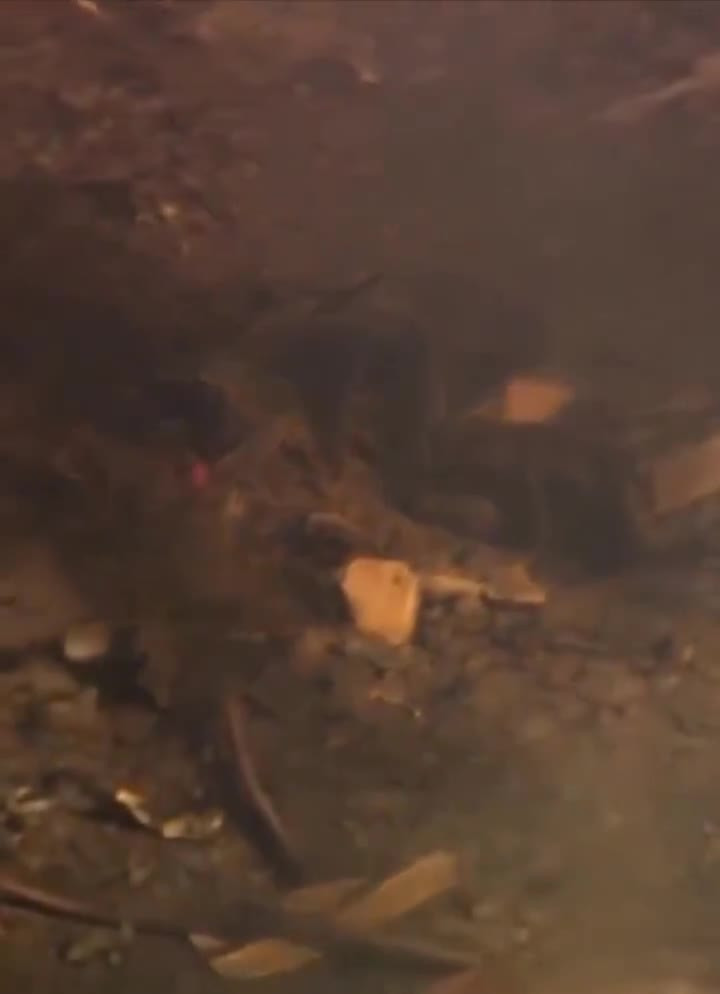 ABD'de mühimmat tesisinde patlama! Ölü ve yaralılar var...