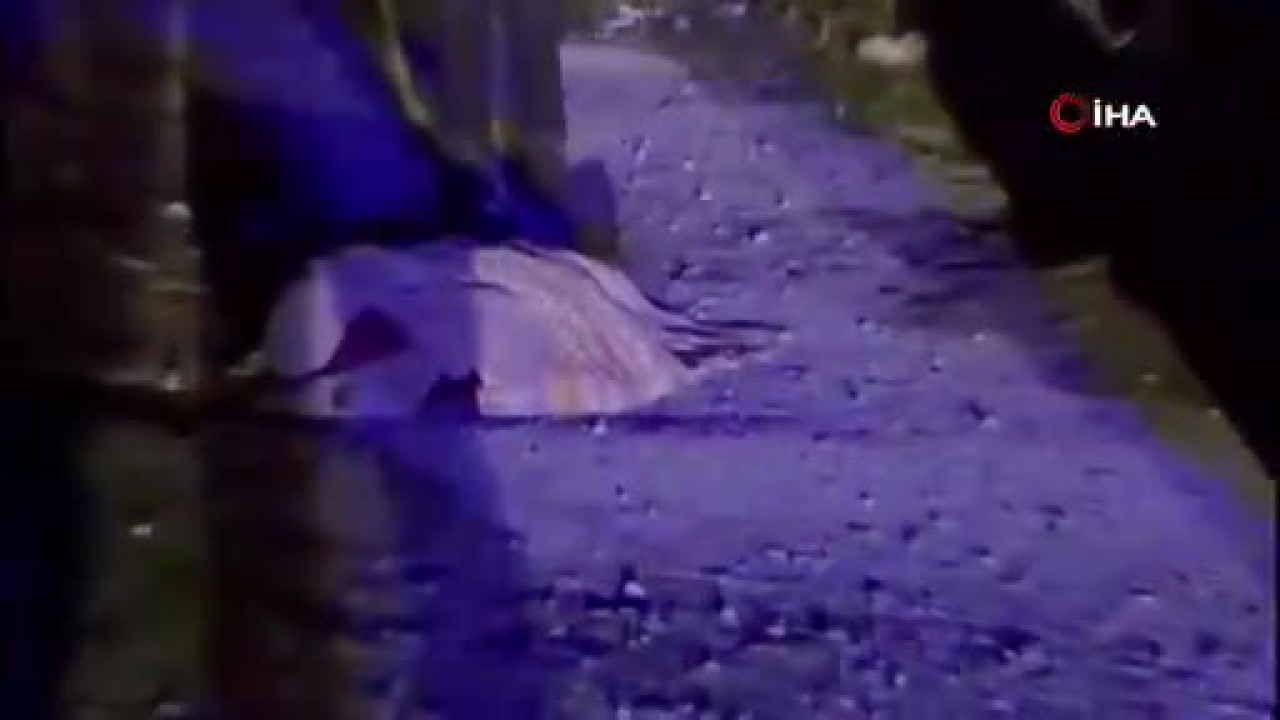 'Hayır Bahçesi' emektarı İbrahim dede hayatını kaybetti! 30 yıl boyunca karşılıksız paylaştı...