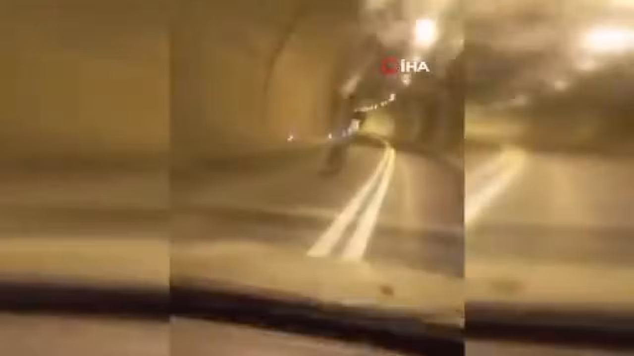 Tünelde korku dolu anlar! Ayı, aracın önünde...