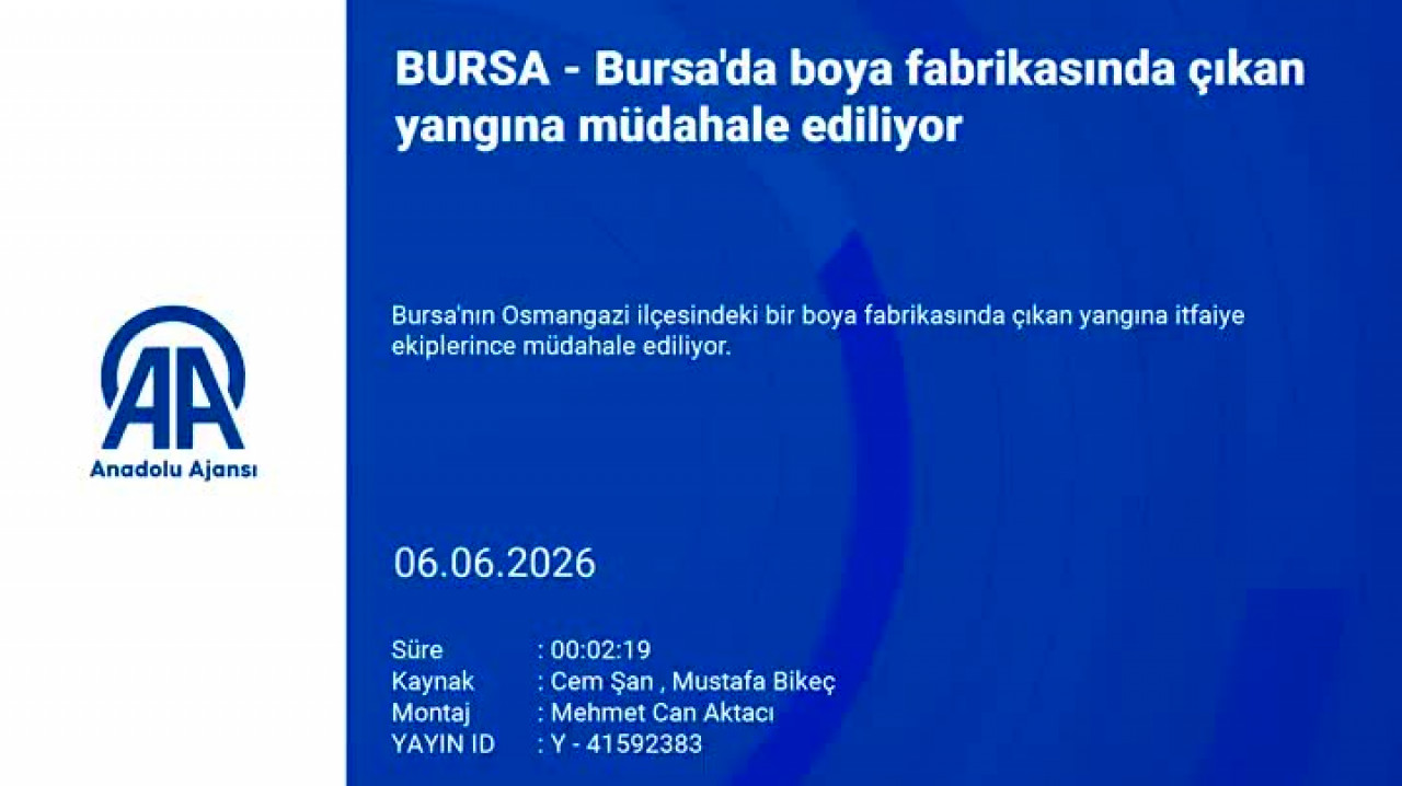 Gökyüzünü duman kapladı! Bursa'da boya fabrikasında yangın