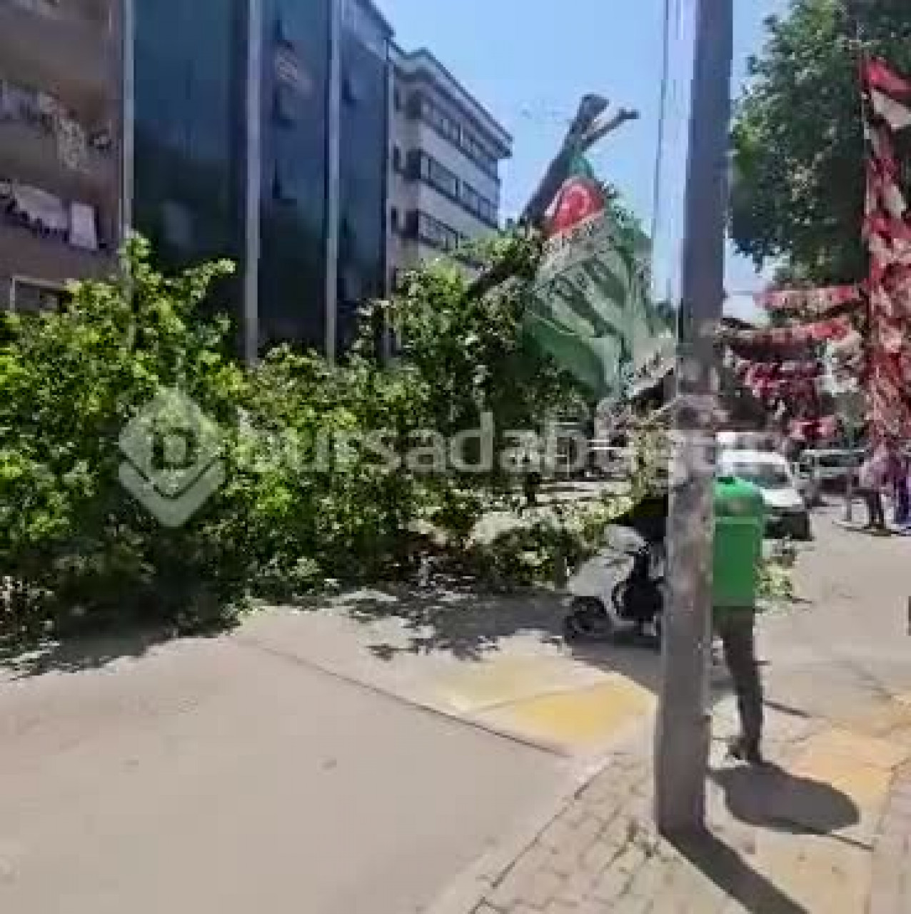 Bursa'nın bir ilçesinde büyük panik! dev ağaç bir anda yıkıldı