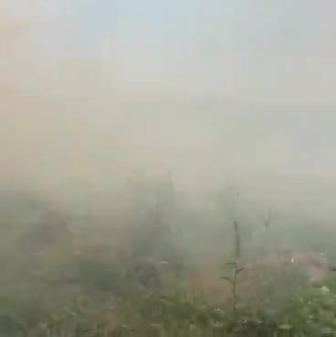 Bursa'da korkutan yangın! İznik Gölü'nde panik anları...