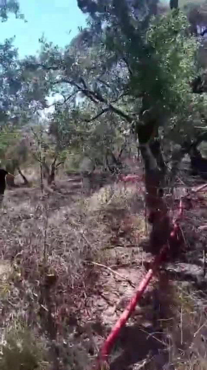 Bursa yakınlarında panik anları! Ekiplerin müdahalesi faciayı önledi