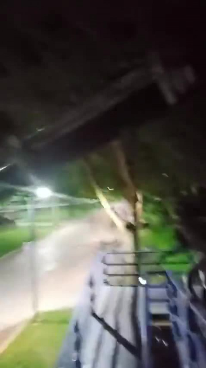 Orhangazi'de at kurtarma operasyonu! Vatandaşlar seferber oldu