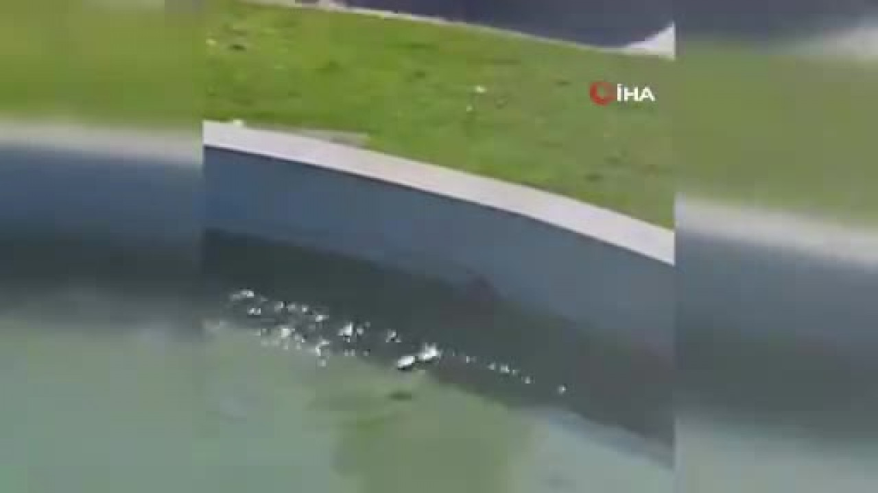 Bursa'da yürekleri ısıtan görüntüler!