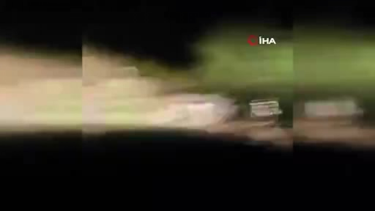 Bir ilimiz diken üstünde! En tehlikeli hayvanlar arasında yer alıyor