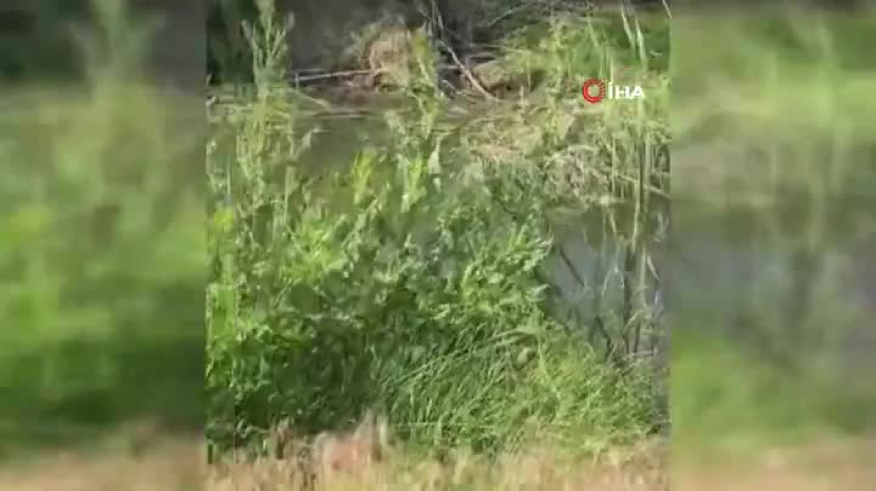 Su dolu drenaj kuyusuna gömülü otomobilden 2 ceset çıktı