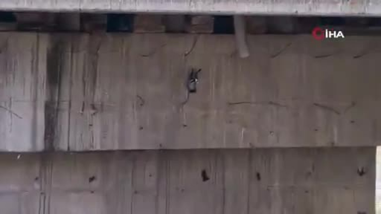 Bursa'da güvercin kurtarma operasyonu! Kameralar o anları kaydetti...