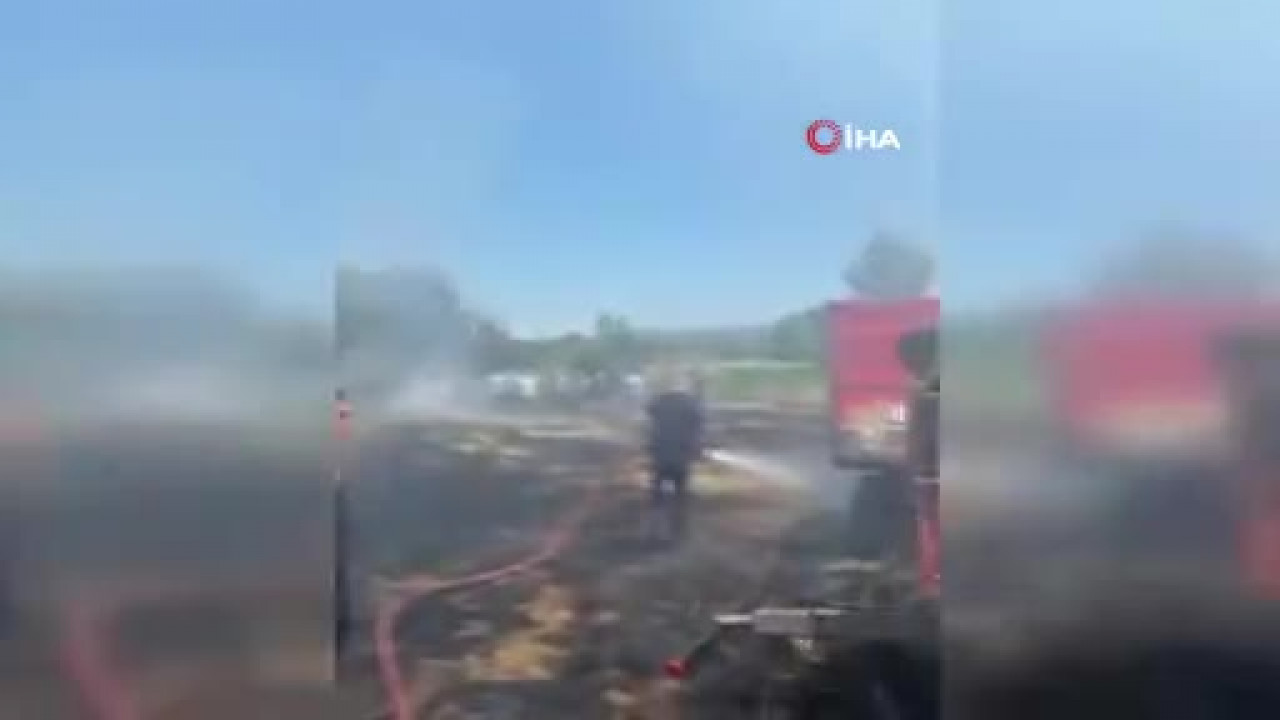 Anız alevi 20 dönümü küle çevirdi
